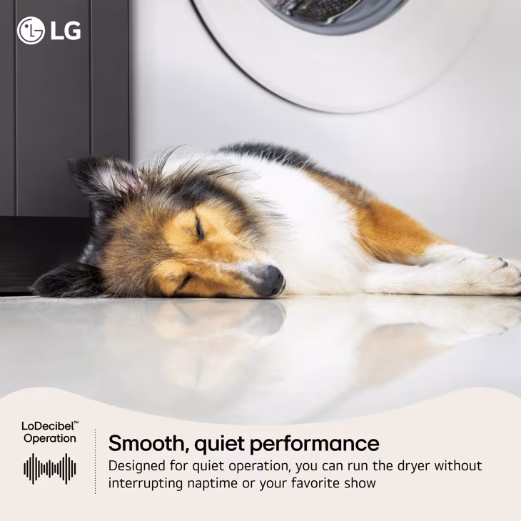 7.4 Cu. Ft. Ultra Large Capacity Smart Front Load Gas Dryer DLG3421W