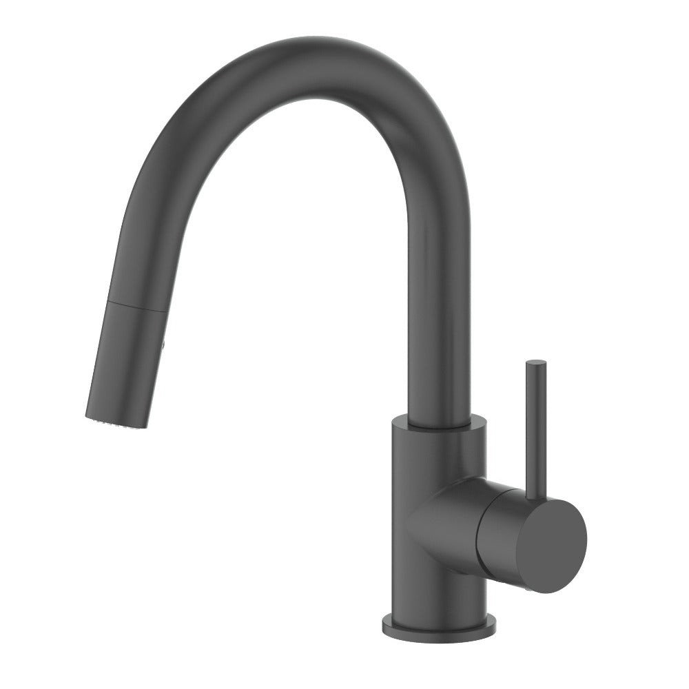Autograph Edition Dante Pull Down Single Handle Kitchen Faucet In Matte Black DNTKFMB