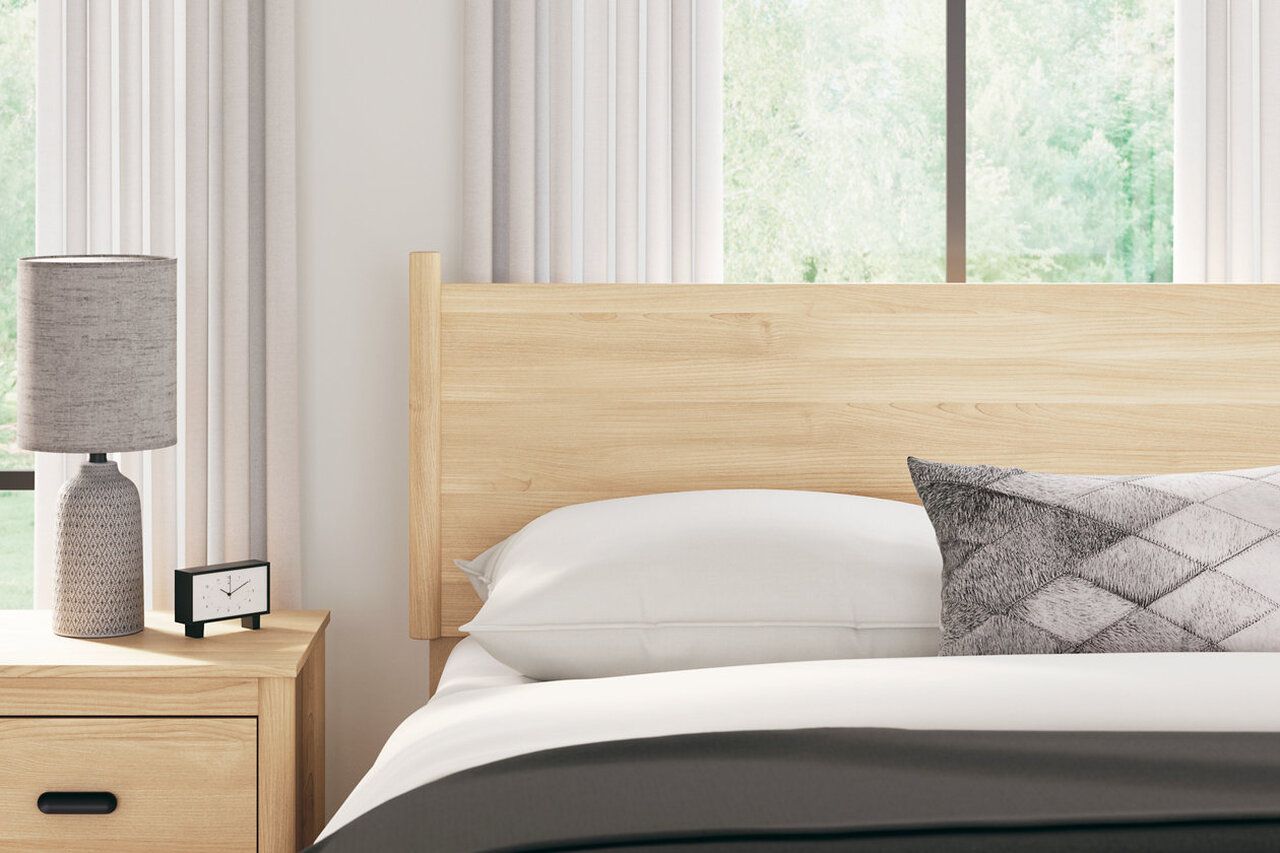Cabinella Queen Platform Panel Bed In Tan EB2444B2