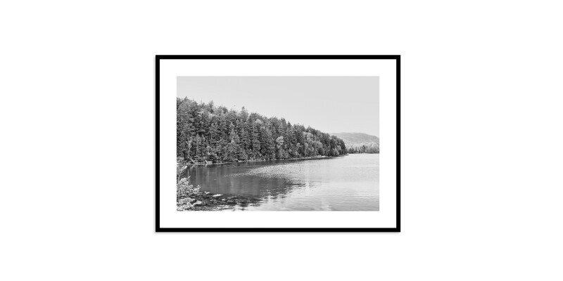 Acadia Tree Line EKNACDIA11X15