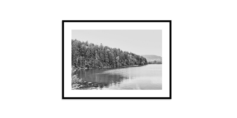 Acadia Tree Line EKNACDIA15X20