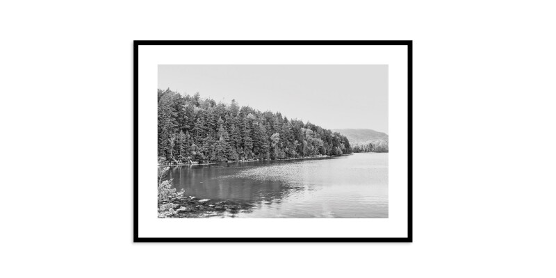 Acadia Tree Line EKNACDIA20X28