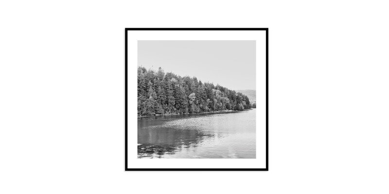 Acadia Tree Line EKNACDIA28X28