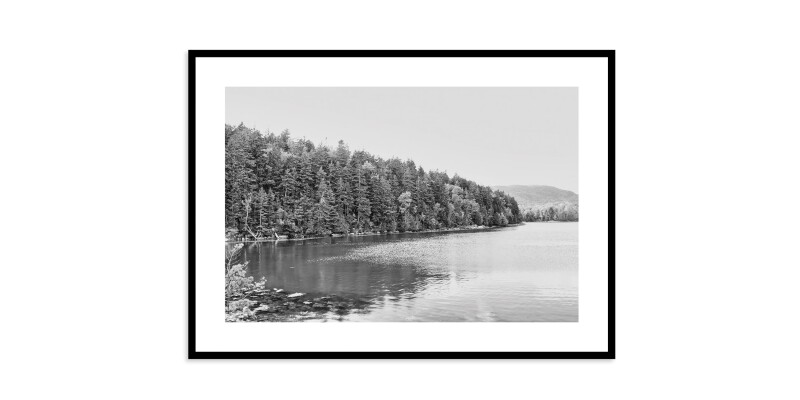 Acadia Tree Line EKNACDIA32X40