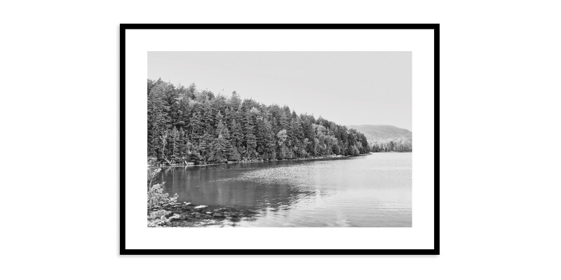 Acadia Tree Line EKNACDIA40X60