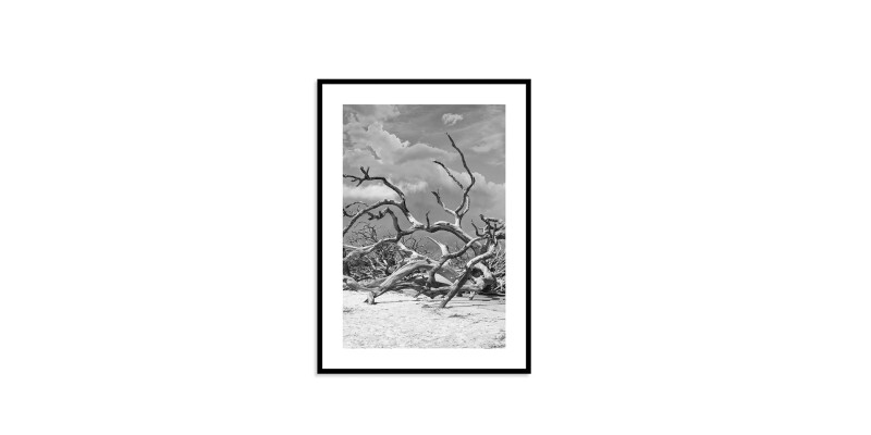 Jekyll Island EKNJI211X15