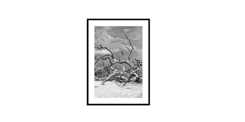 Jekyll Island EKNJI215X20