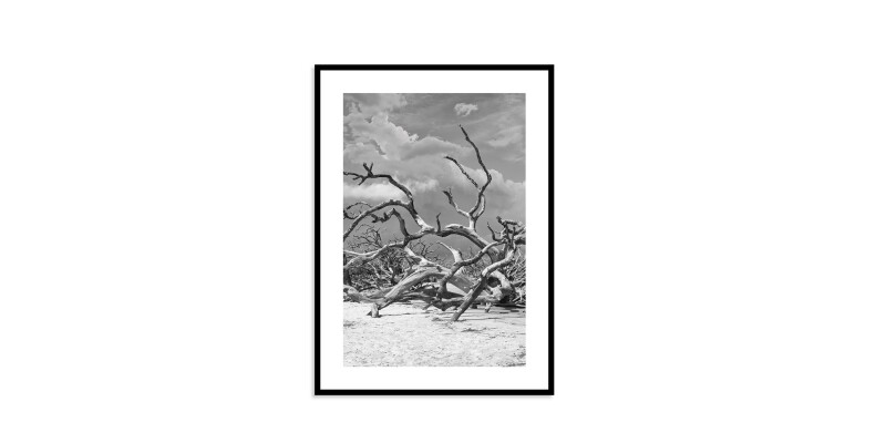 Jekyll Island EKNJI220X28