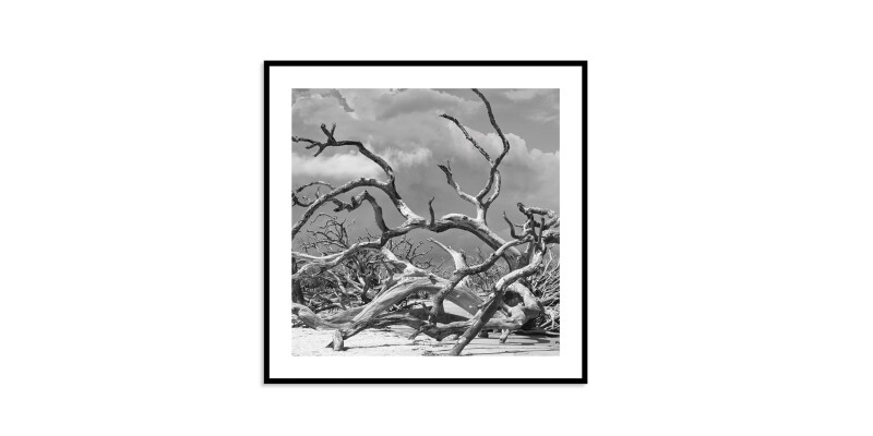 Jekyll Island EKNJI228X28
