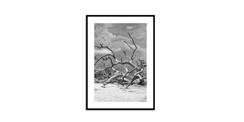 Jekyll Island EKNJI232X40