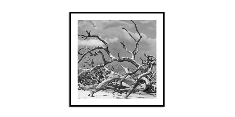 Jekyll Island EKNJI238X38
