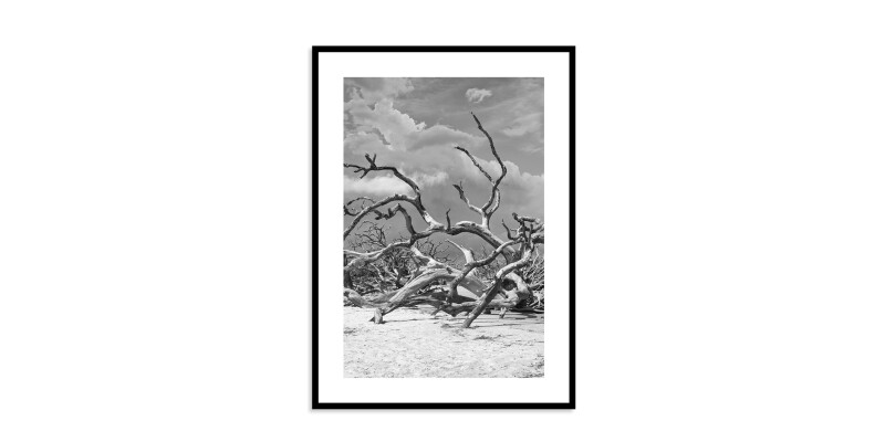 Jekyll Island EKNJI240X60