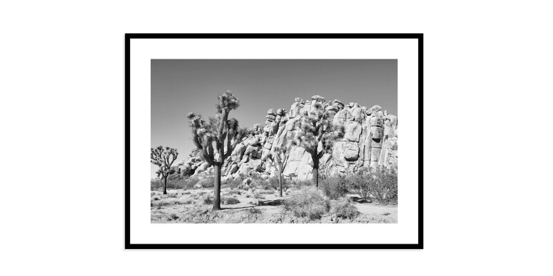 Joshua Tree EKNJSHT632X40