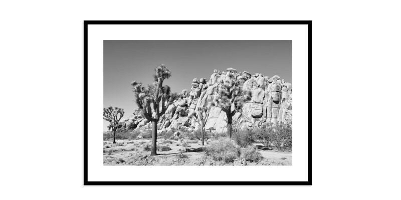Joshua Tree EKNJSHT640X60
