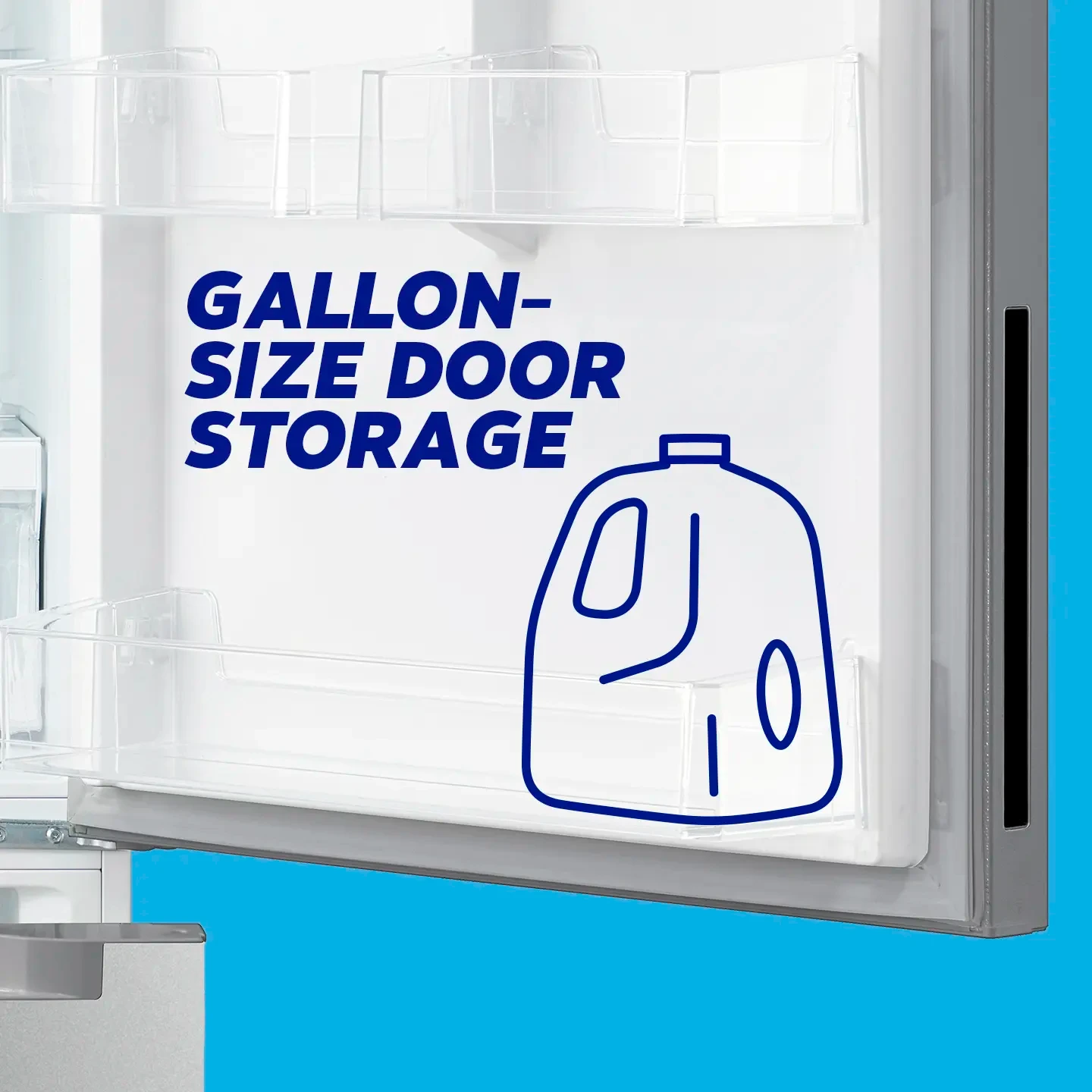 Gallon-Size Door Storage