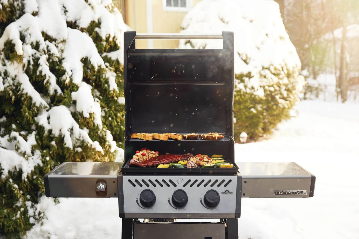 Freestyle™ 365 3-Burner, Gas Grill F365DPGT