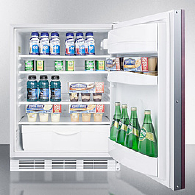 24" Wide Built-In All-Refrigerator, ADA Compliant (Panel Not Included) FF6WBIIFADA