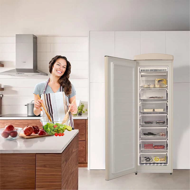 Conserv 8.3cf Classic Retro Upright Freezer Frost Free 24 FF830C