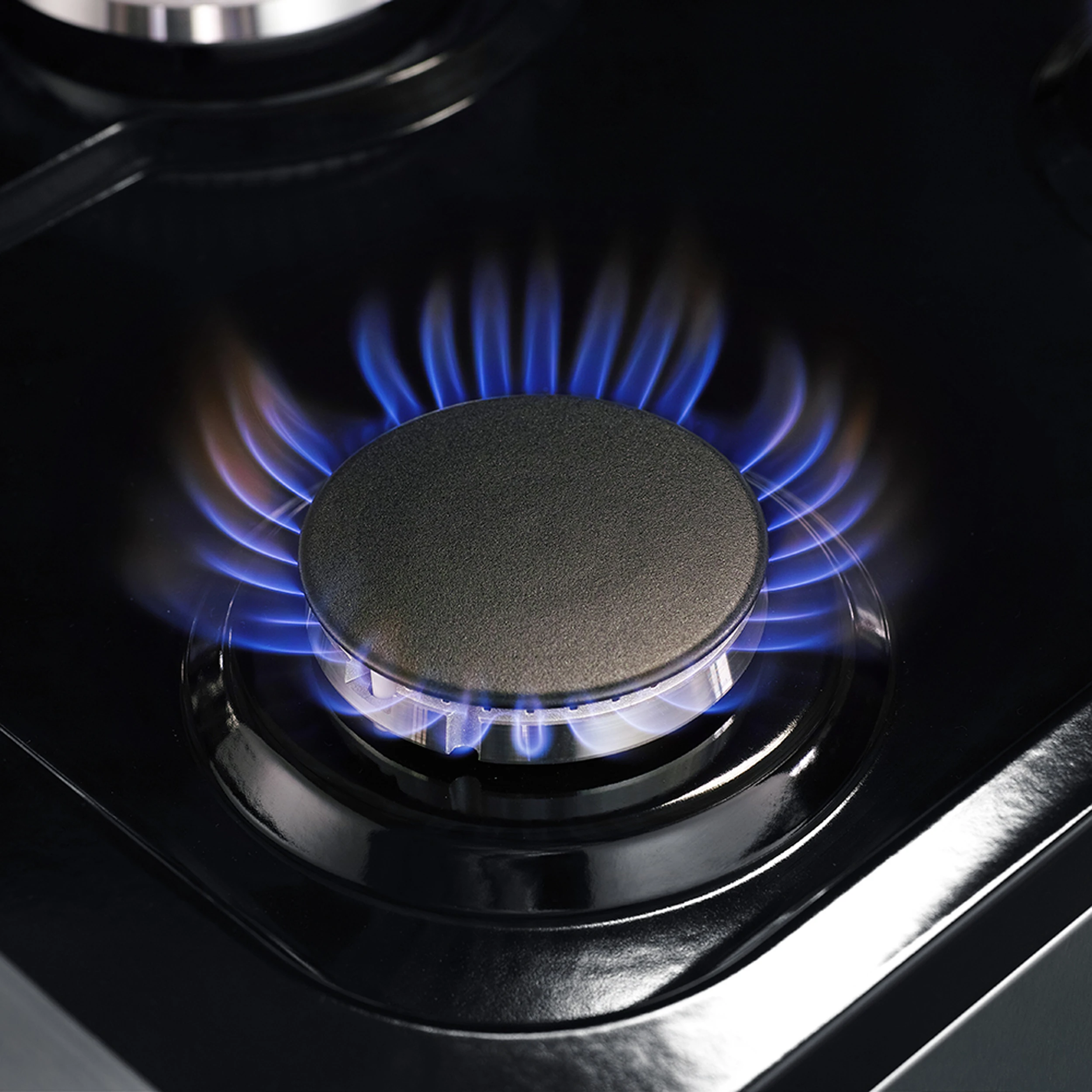 Massimo 48-Inch Freestanding Dual Fuel Range, 8 Burners, Double Convection Ovens FFSGS612548