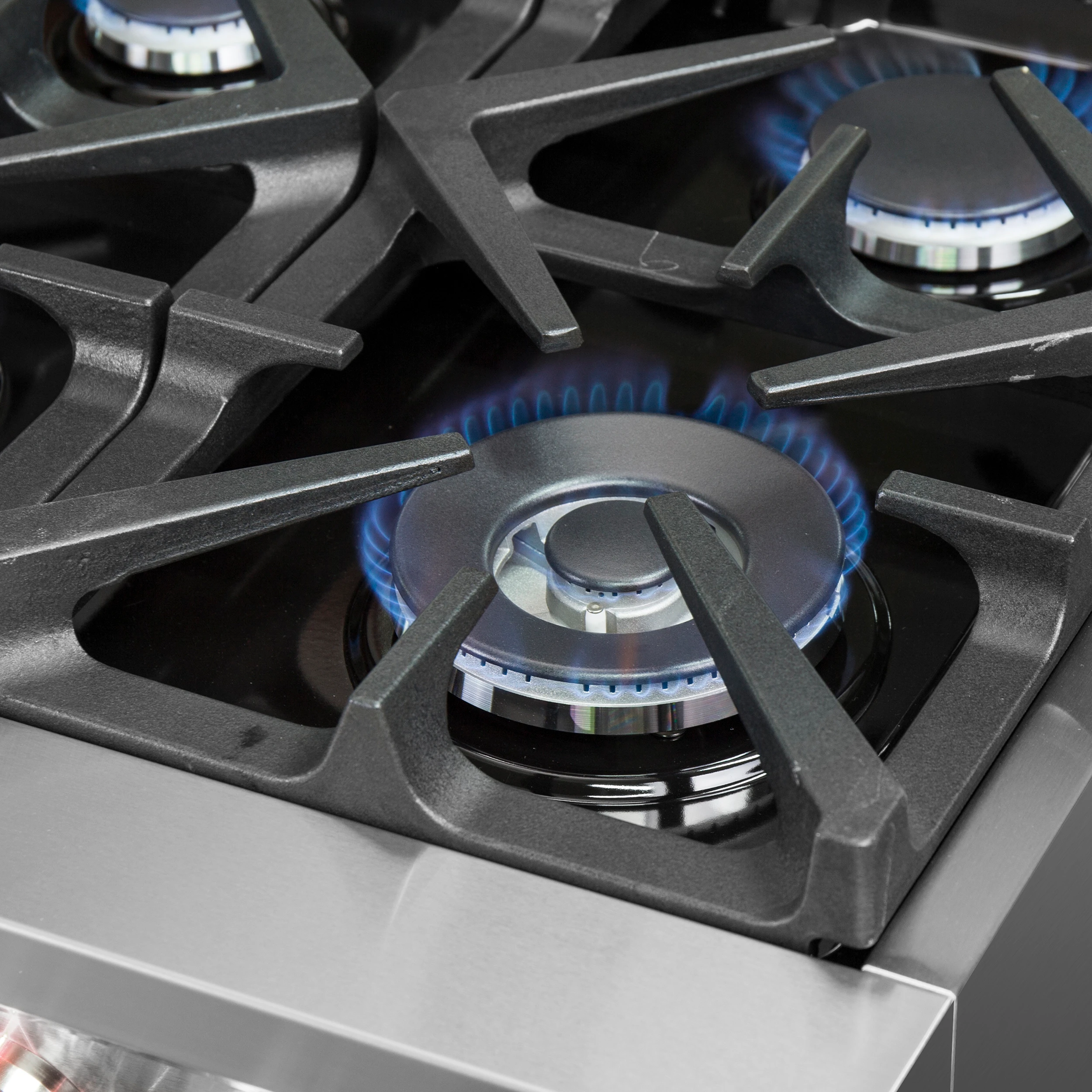 Massimo 60-Inch Freestanding Dual Fuel Range, 10 Burners, Double Convection Ovens FFSGS612560
