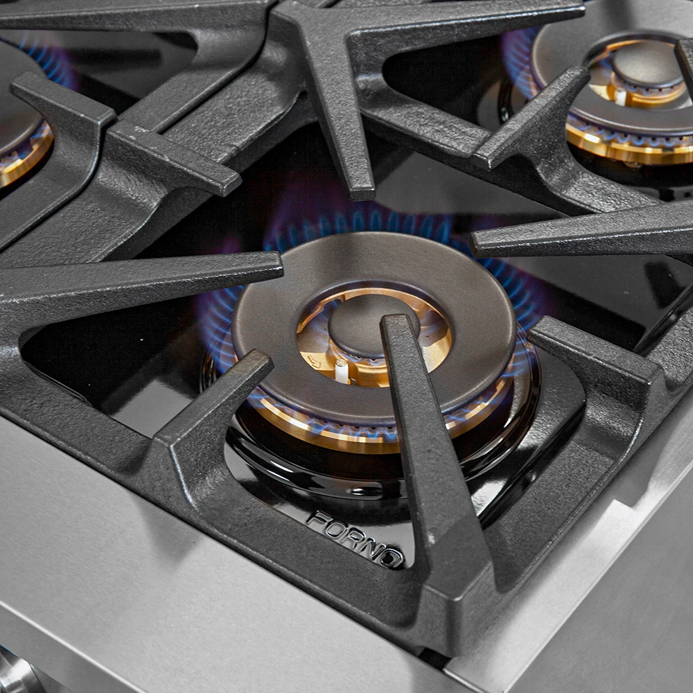 Capriasca 36-Inch Gas Range, , 6 Brass Burners, 120,000 BTU, Convection Oven, Energy Efficient FFSGS626036