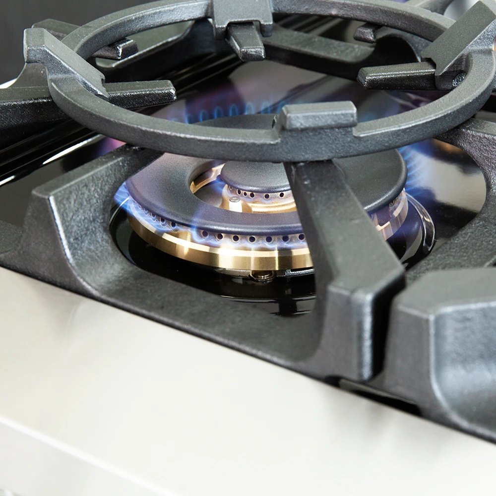 Capriasca 48-inch Gas Range , 8 Brass Burners 160,000 BTU, 6.58 cu.ft. Double Oven FFSGS626048