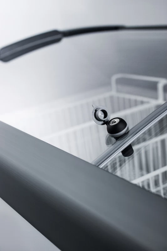9.5 Cu.Ft. Chest Freezer FOCUS106