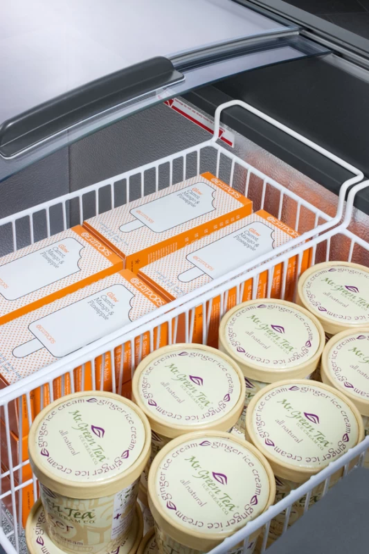 9.5 Cu.Ft. Chest Freezer FOCUS106