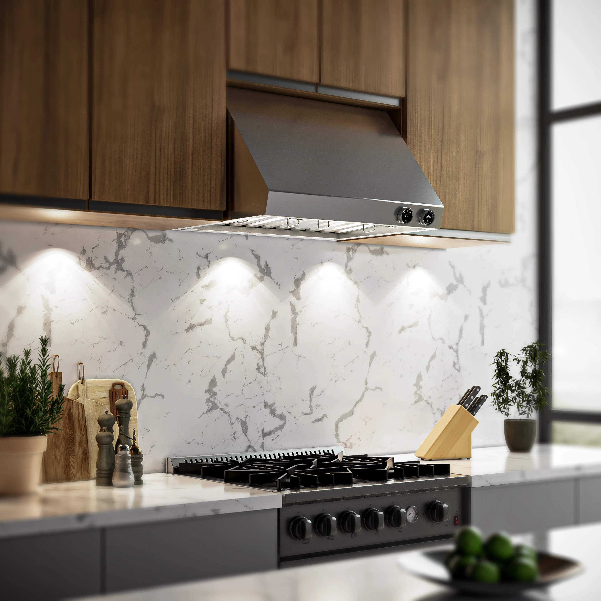 Biagio 30-Inch Wall Mounted Range Hood, , Heavy Duty FRHWM500930