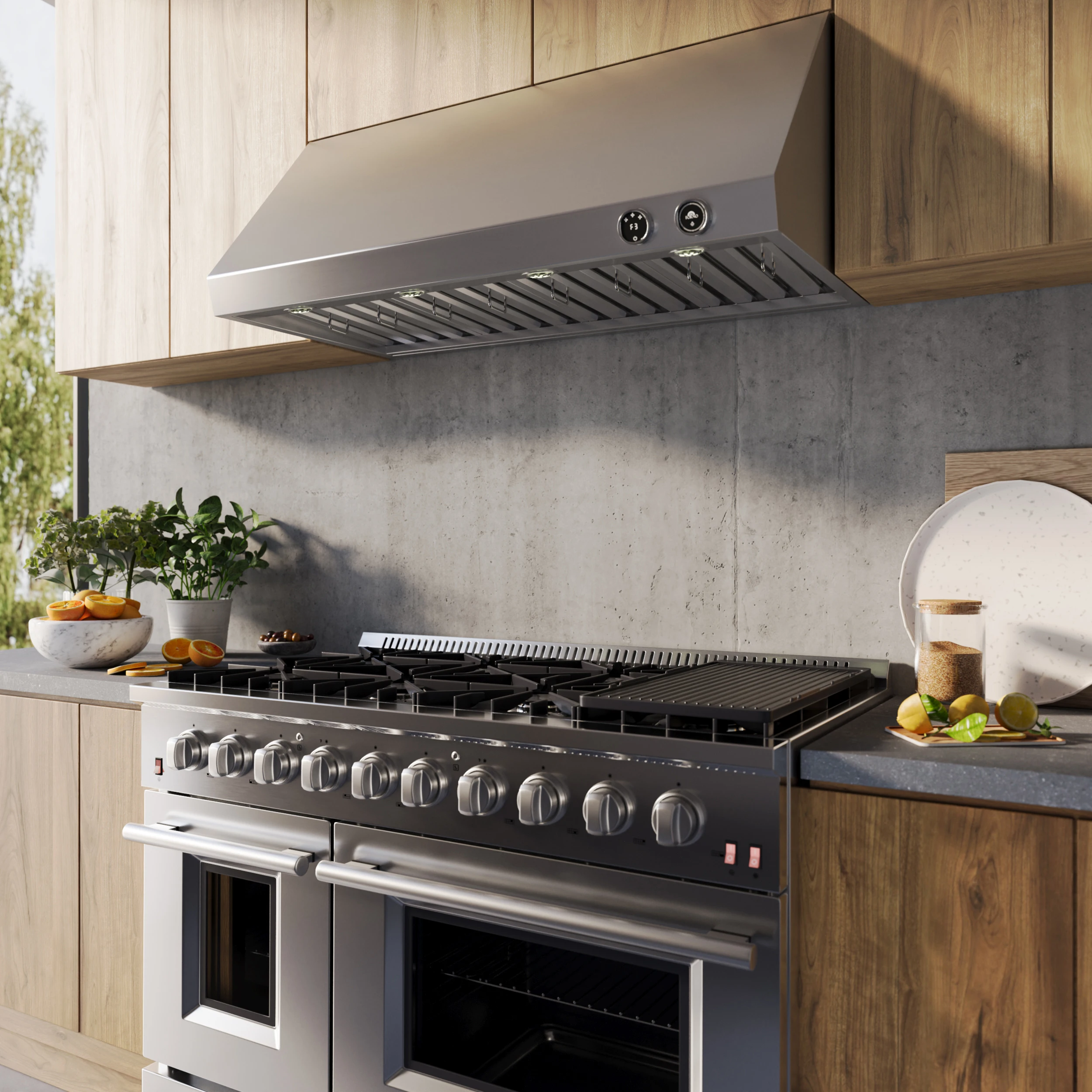 Biagio 48-Inch Wall Mounted Range Hood, , Heavy Duty FRHWM500948