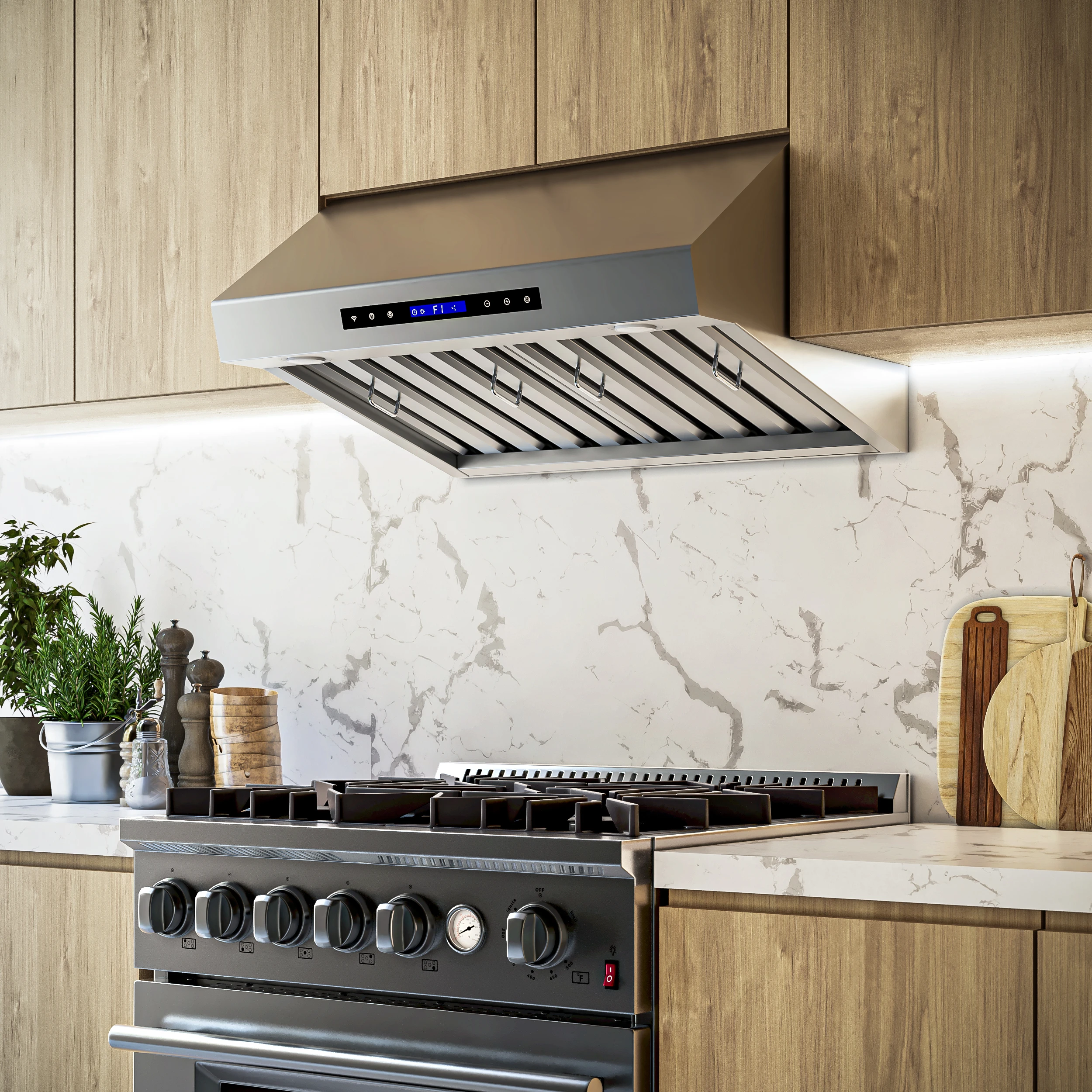 Palazzo 30-Inch Wall Mounted Range Hood, Stainless Steel, Heavy Duty Baffle Filters, Remote Control FRHWM503030