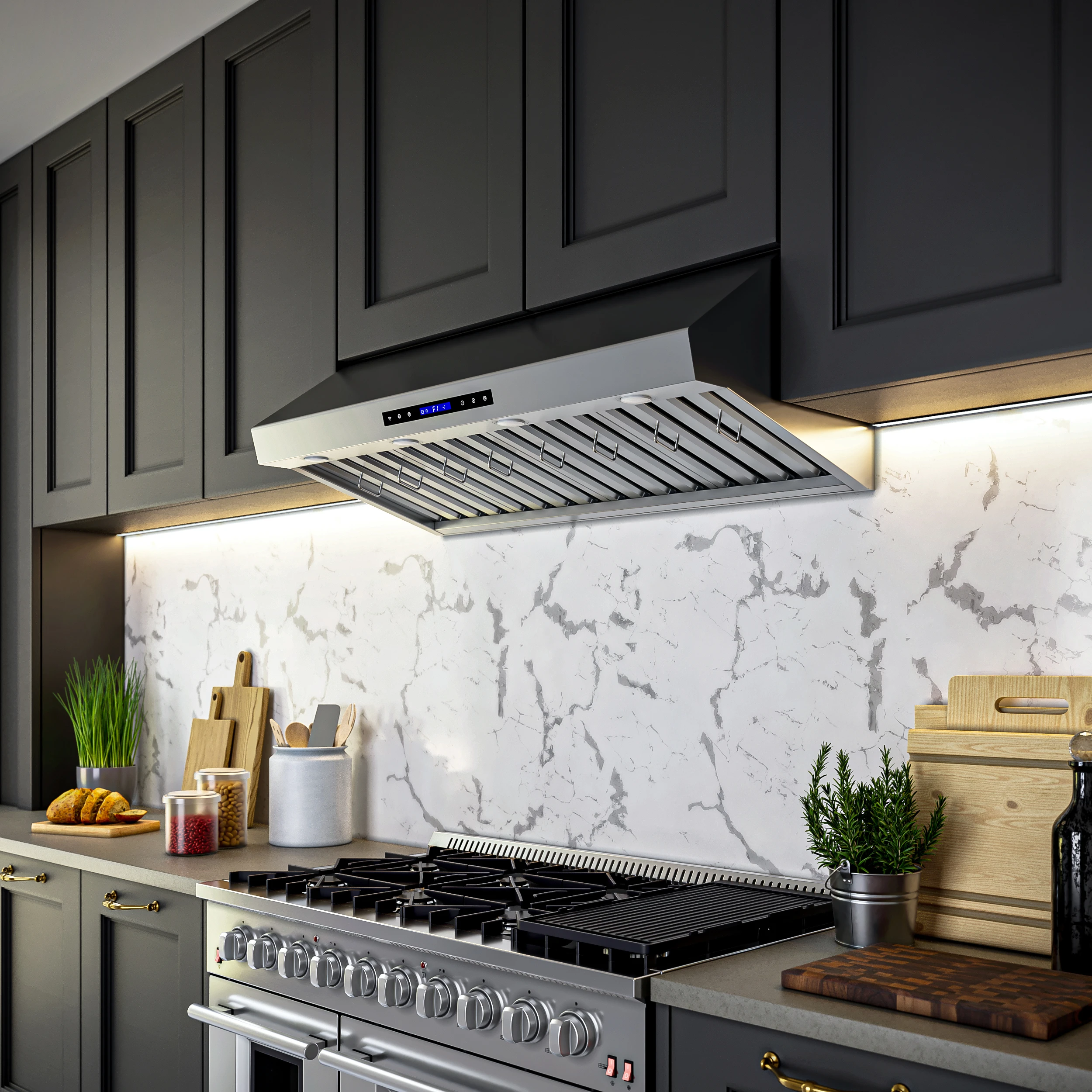 Palazzo 48-Inch Wall Mounted Range Hood, Stainless Steel, Heavy Duty Baffle Filters, Remote Control FRHWM503048