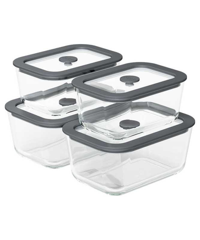Daily Storage Containers, 4-piece set FSC4DLM1