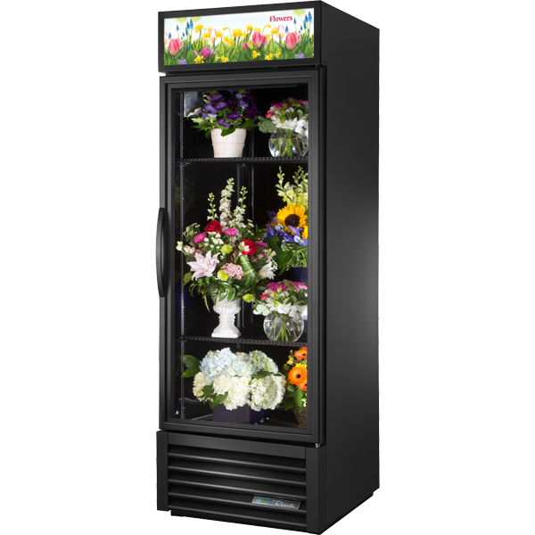 Swing Door Refrigerator with Hydrocarbon Refrigerant~True Standard Look Version 01 GDM23FCHCTSL01