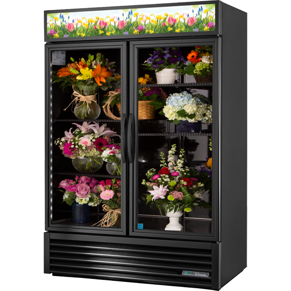 Swing Door Refrigerator with Hydrocarbon Refrigerant~True Standard Look Version 01 GDM49FCHCTSL01