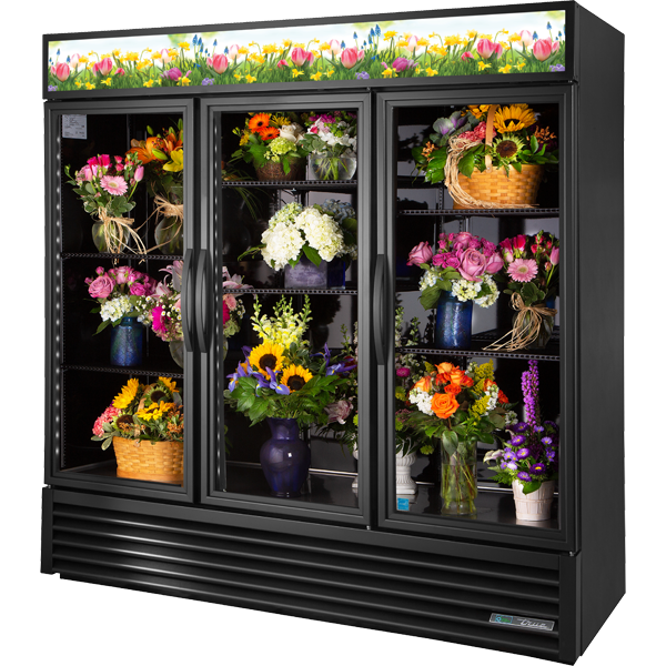 Swing Door Refrigerator with Hydrocarbon Refrigerant~True Standard Look Version 01 GDM72FCHCTSL01