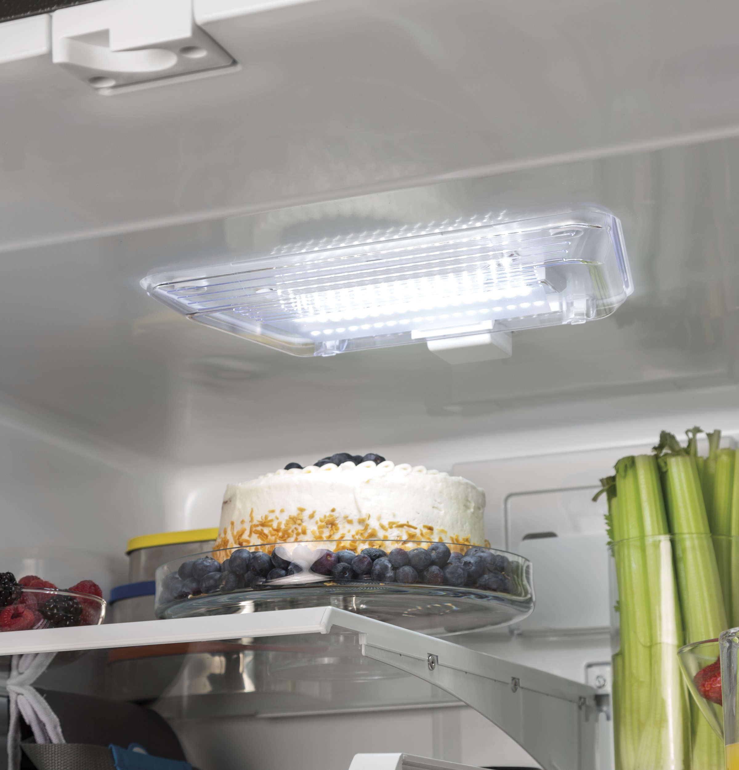 20.8 Cu. Ft. French-Door Refrigerator GNE21FMKES