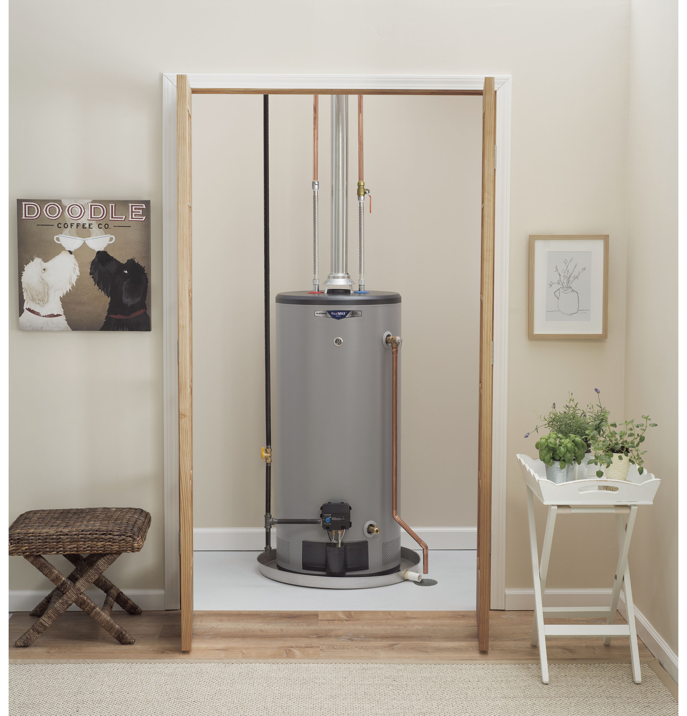 RealMAX Choice 40-Gallon Short Liquid Propane Atmospheric Water Heater view 2