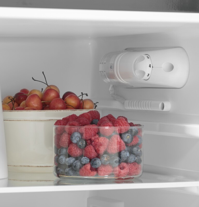 9.8 Cu. Ft. 12 Volt DC Power Top-Freezer Refrigerator view 10