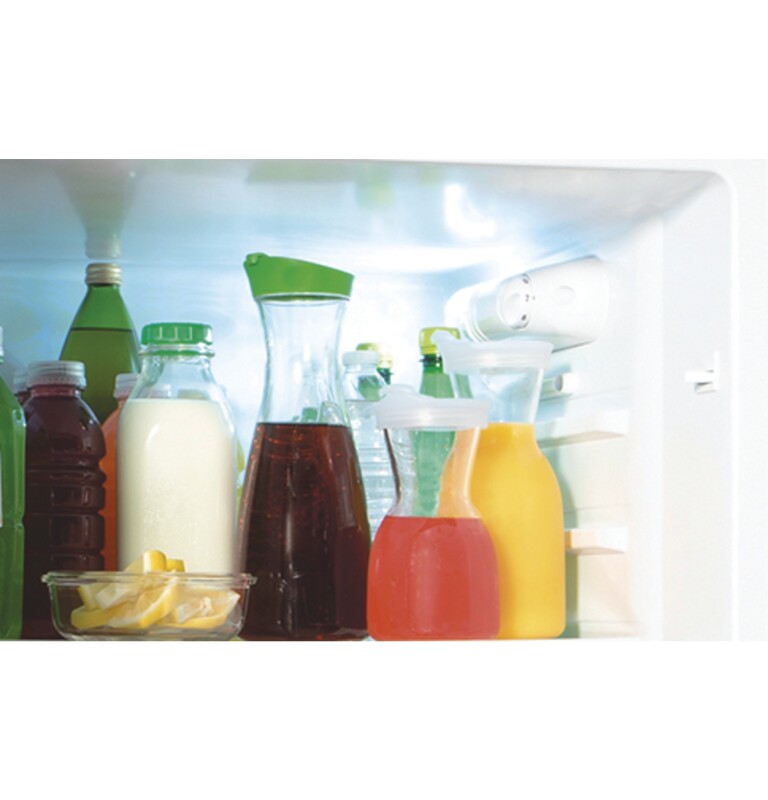 9.8 Cu. Ft. 12 Volt DC Power Top-Freezer Refrigerator view 3