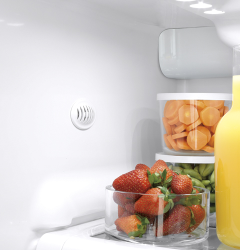 29.1 Cu. Ft. Side-by-Side Refrigerator with Integrated Dispenser GSHF9NGYBB
