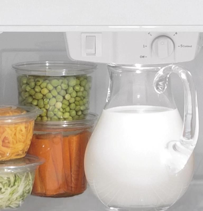 Buy GE 17.5 Cu. Ft. Top-Freezer Refrigerator | GTS18HGNRBB