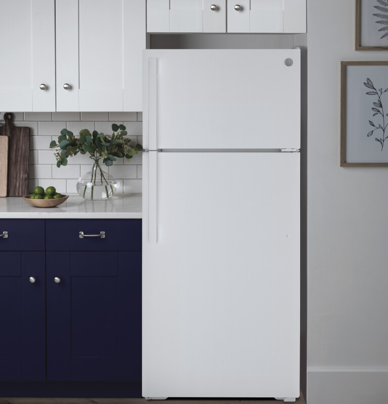 Graceページです。 Buy GE 21.9 Cu. Ft. Top-Freezer Refrigerator | GTS22KGNRWW