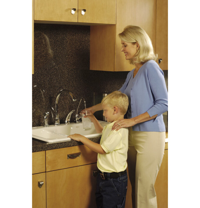 Dual Stage Water Filtration System GXSV65F
