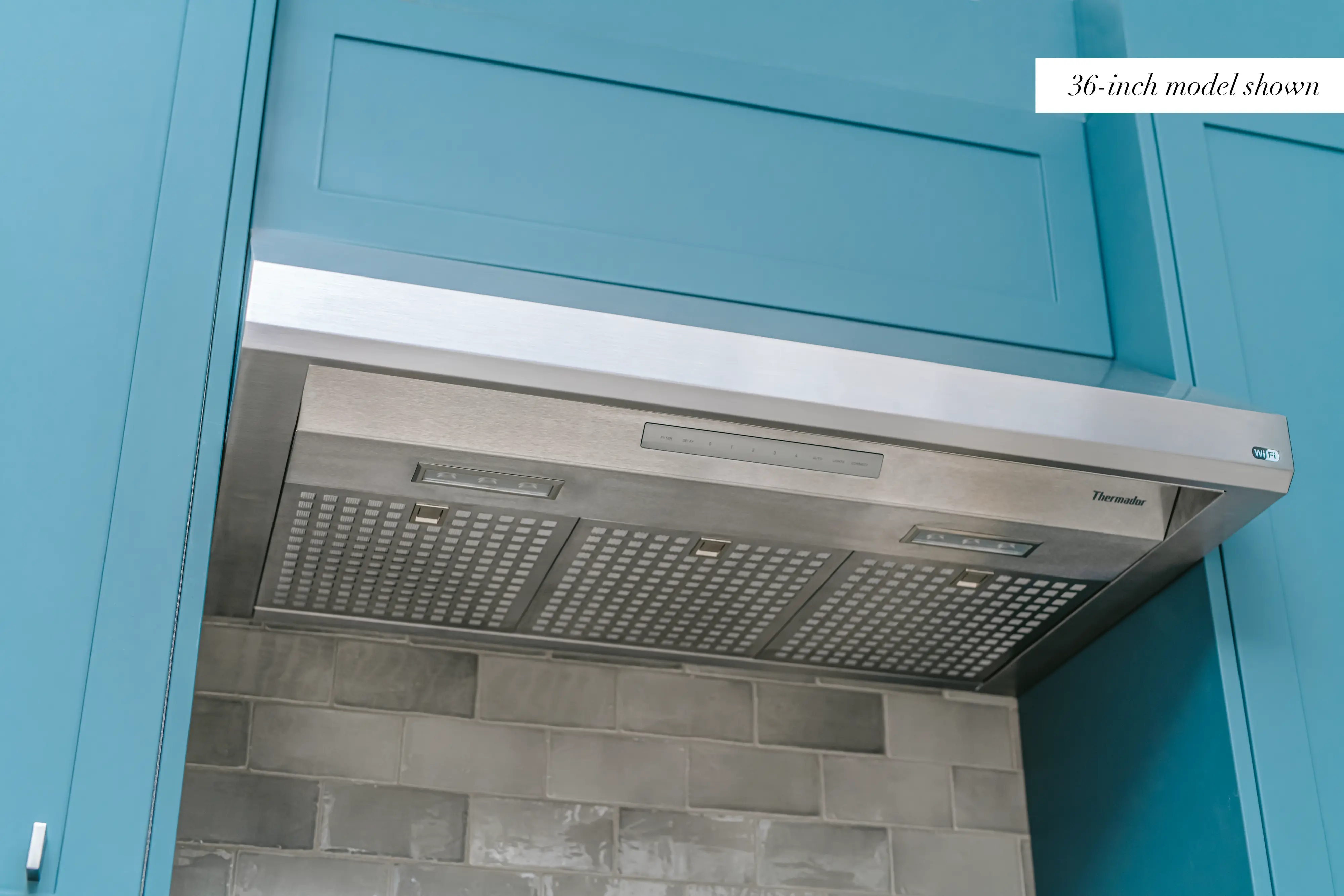 Masterpiece® Custom Insert Hood 48'' HMWB481WS