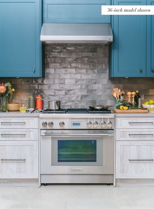 Masterpiece Low-Profile Wall Hood 48" HMWB481WS