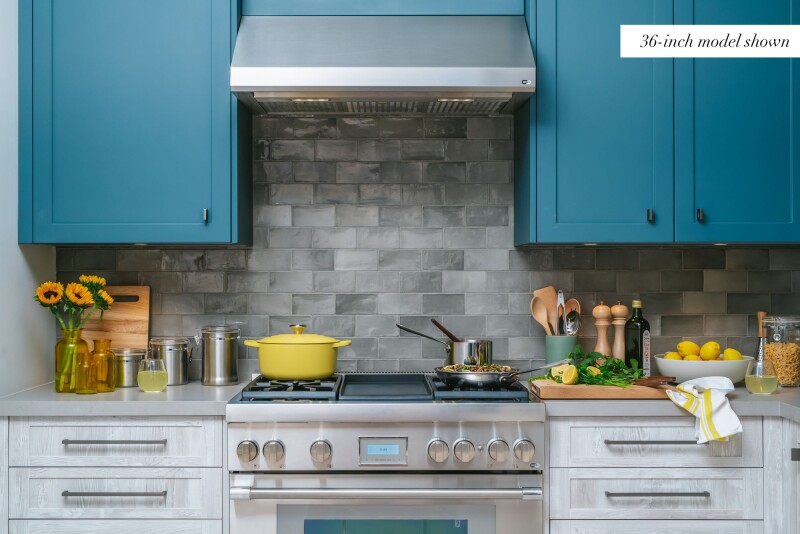 Masterpiece Low-Profile Wall Hood 48" HMWB481WS