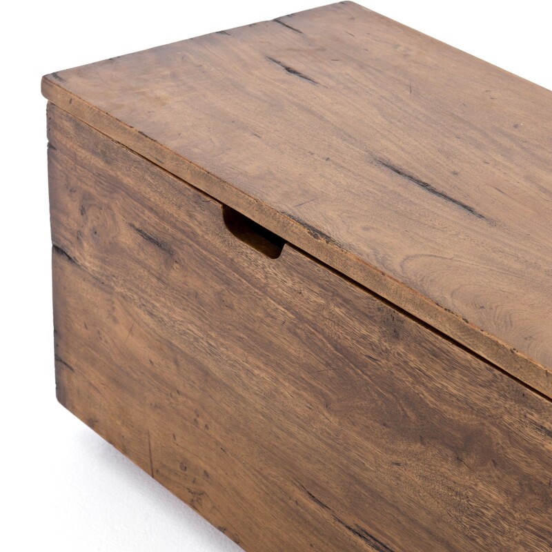 Duncan Trunk - IHRM-156 IHRM156