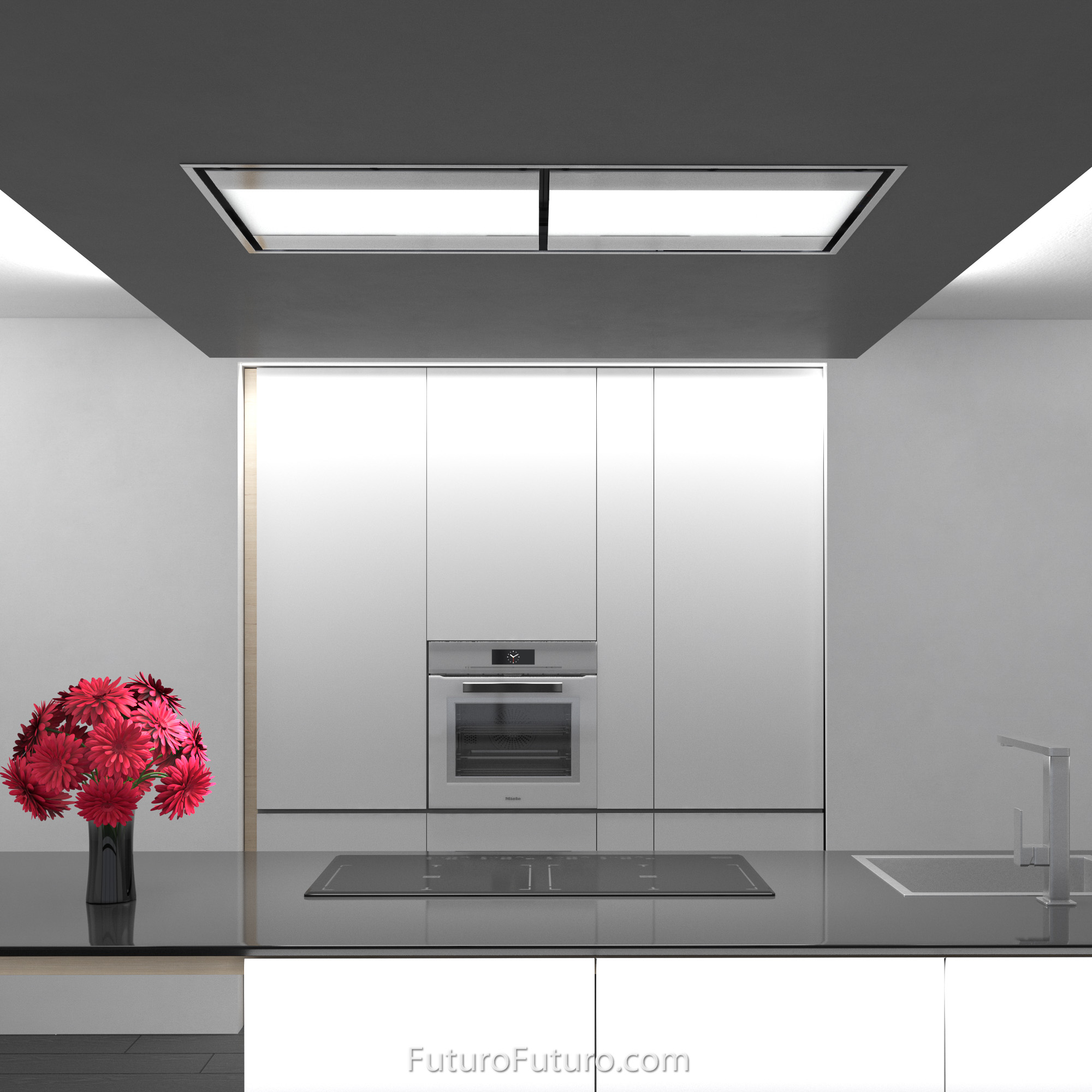 54″ Skylight Ceiling/Soffit Range Hood IS54SKYLIGHT