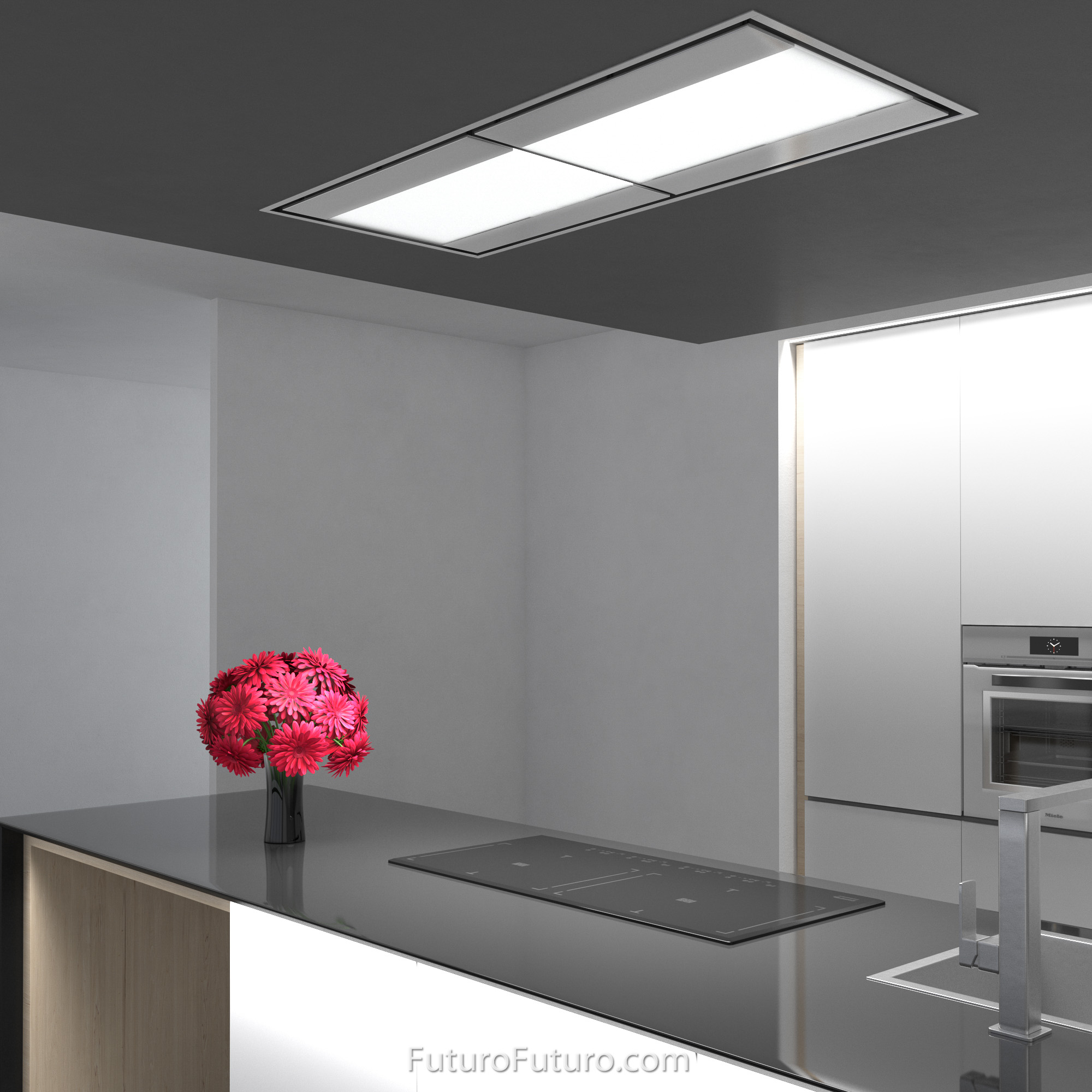 54″ Skylight Ceiling/Soffit Range Hood IS54SKYLIGHT